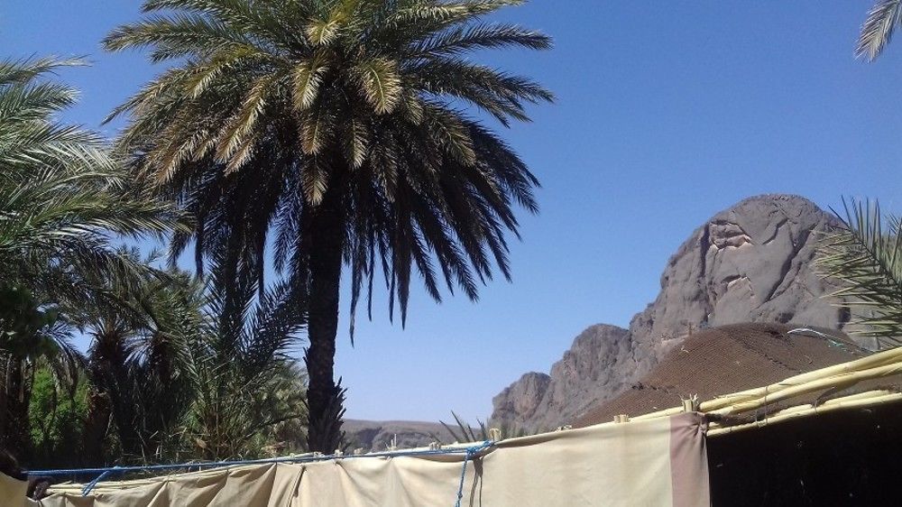Auberge Restaurant Tissili " Oasis De Fint" Eksteriør bilde